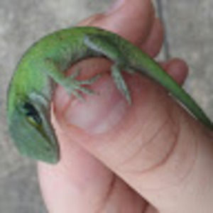 Meet your Posher, Christian